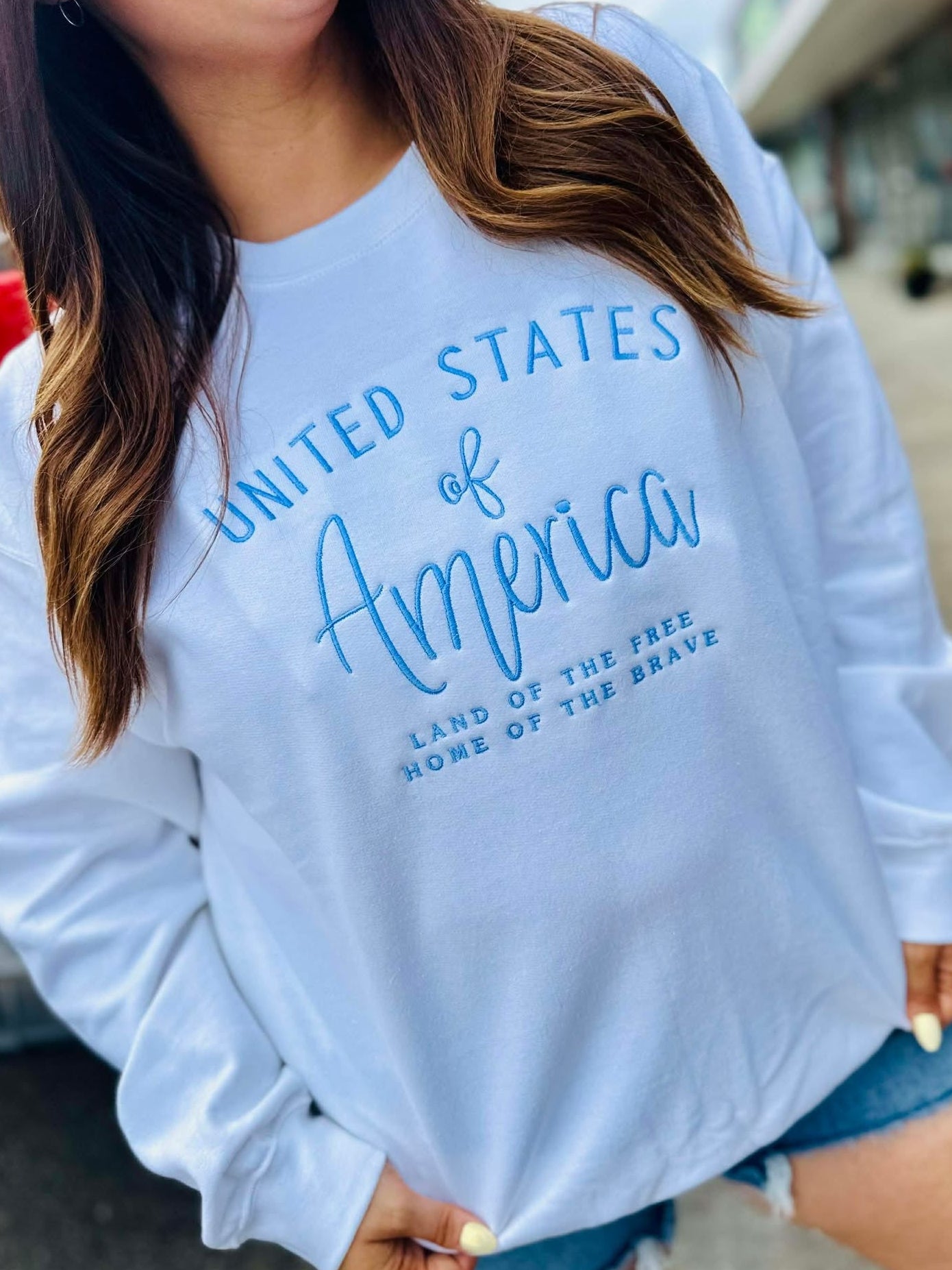 Light blue sweatshirt with 'United States of America LAND OF THE FREE HOME OF THE BRAVE' embroidery worn by a person outdoors.